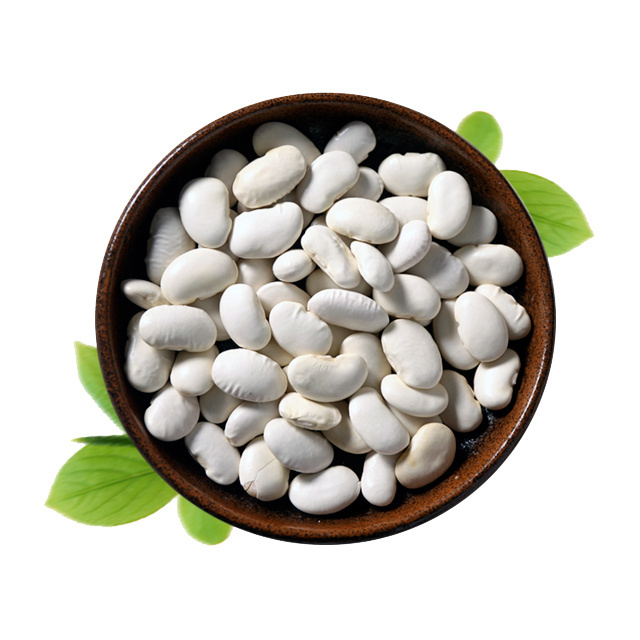 Hot sales Sales! White Kidney Bean Extract powder 1% Phaseolin