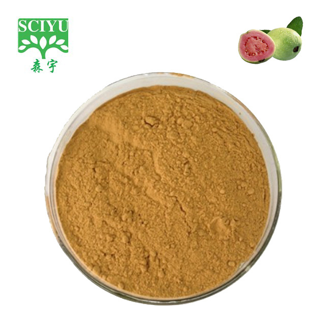 100% pure Guava Leaf Extract Guava Fruit Powder