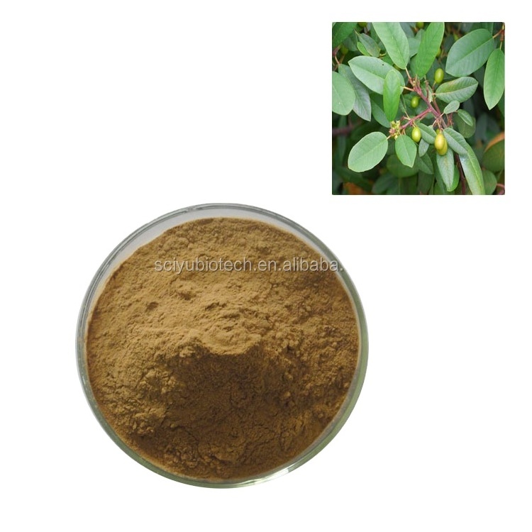 Botanical supply davurian buckthorn bark cascara sagrada p.e cascara sagrada powder extract