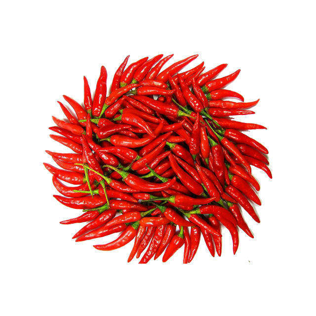 Bulk Sale Natural Herbal Extract Chili Pepper Extract Capsaicin 95% 98% Capsicum Extract