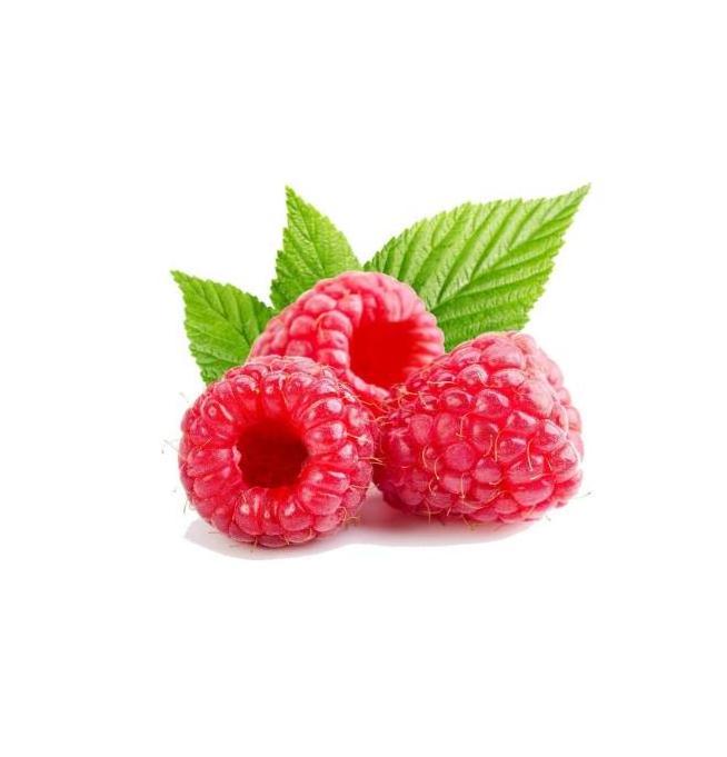 free sample wholesale red raspberry extract powder