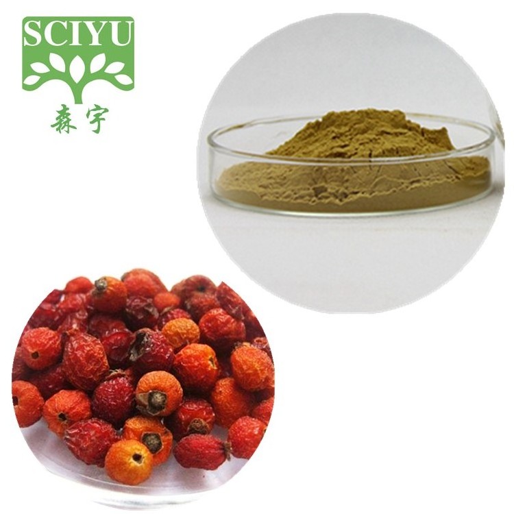 Rose Hip extract powder with 5% Vitamin C Rosehip extract