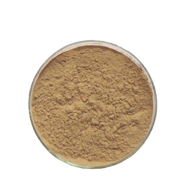 Factory price Fructus Sophorae Extract 10:1  powder  Sophora japonica extract powder