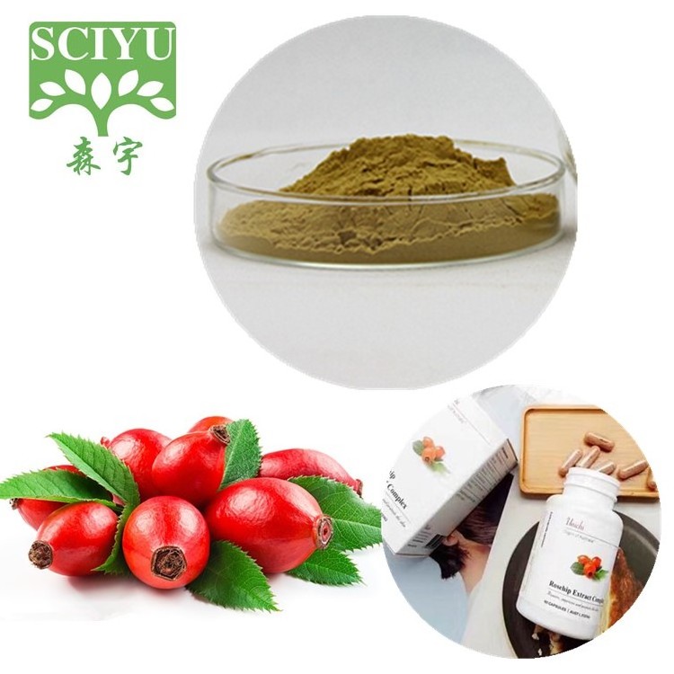 Rose Hip extract powder with 5% Vitamin C Rosehip extract