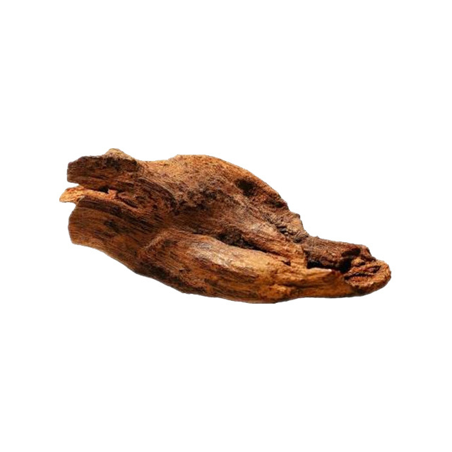 Wholesale Price agarwood extract powder 10:1 eaglewood powder