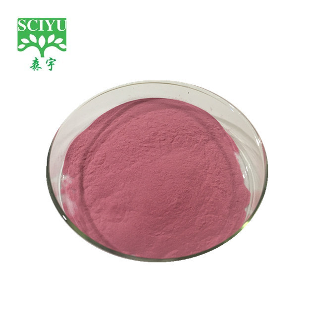 free sample wholesale red raspberry extract powder