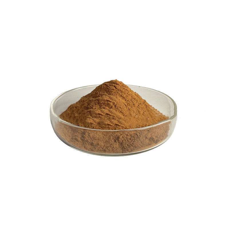 Black Bean Extract 10:1 Water Soluble Food Grade Black Soybean Powder