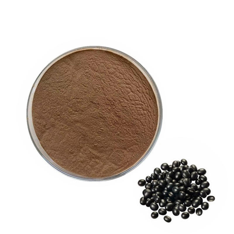 Black Bean Extract 10:1 Water Soluble Food Grade Black Soybean Powder