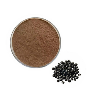 Black Bean Extract 10:1 Water Soluble Food Grade Black Soybean Powder