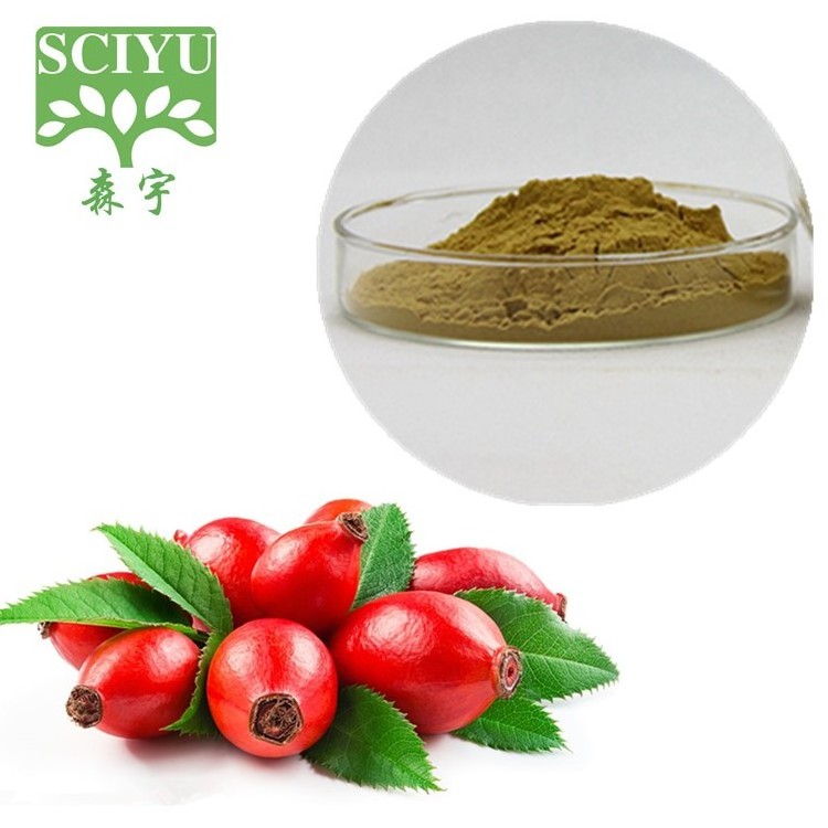 Rose Hip extract powder with 5% Vitamin C Rosehip extract