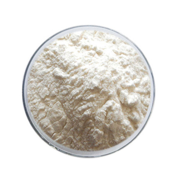 Hot sales Sales! White Kidney Bean Extract powder 1% Phaseolin