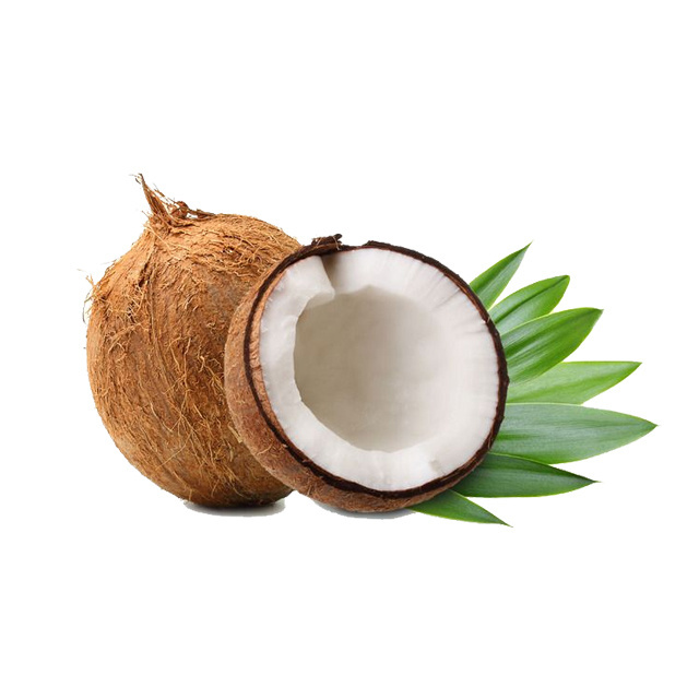 water soluble desicated coconut water powder