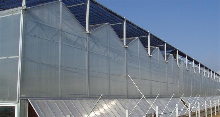 Hot sale thermal insulation transparent durable layer pc board greenhouse for plant growing