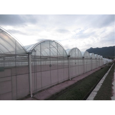 High quality cover mesh used greenhouse frames