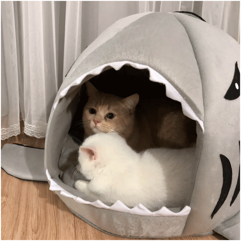 Pet Bed House for Small Pets with Removable Plush Bed Mats Shark Style 	modern house-shaped pet bed