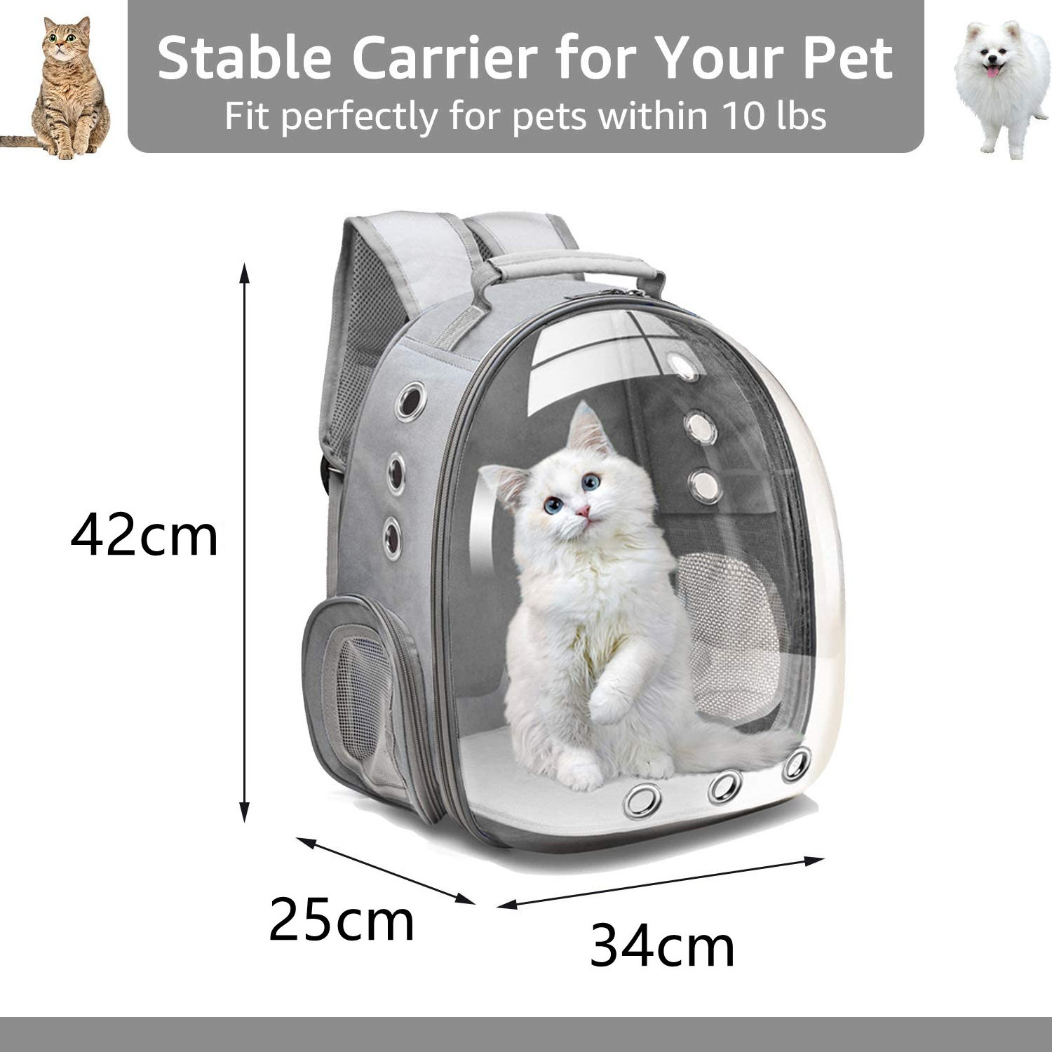 pet carrier backpack space capsule bubble transparent backpack for cats and puppies