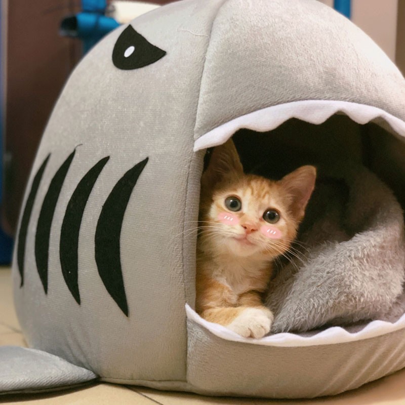 Pet Bed House for Small Pets with Removable Plush Bed Mats Shark Style 	modern house-shaped pet bed