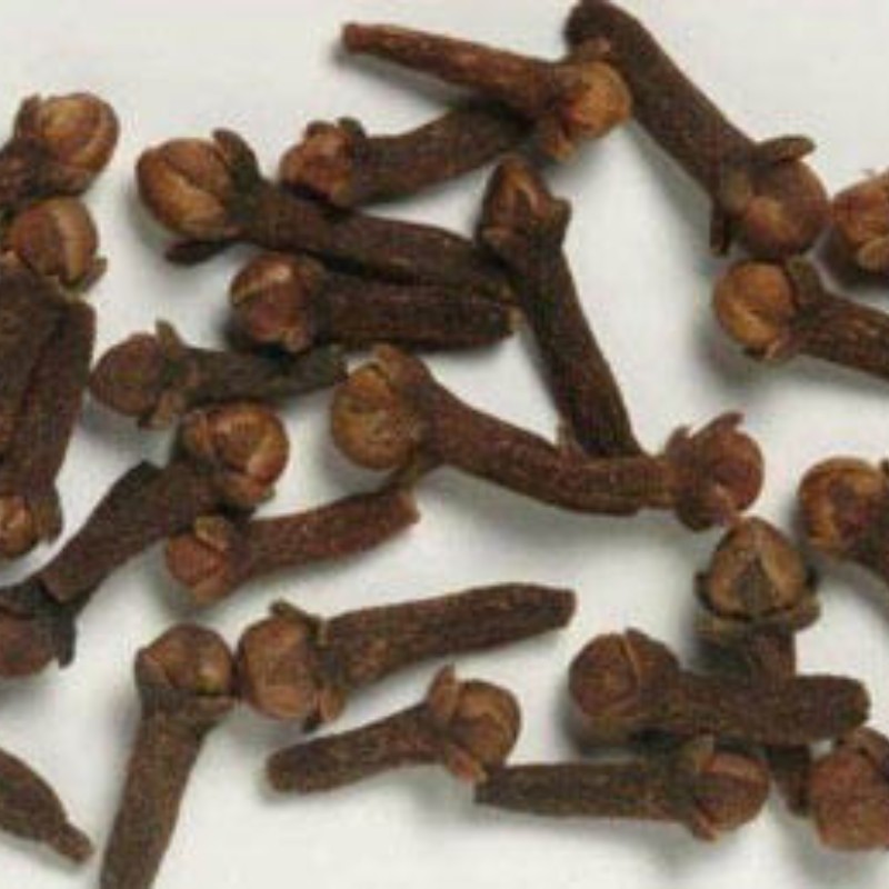 Spices Supplier Wholesales Natural Dried Whole Cloves in Good Price Dry Cloves For Food