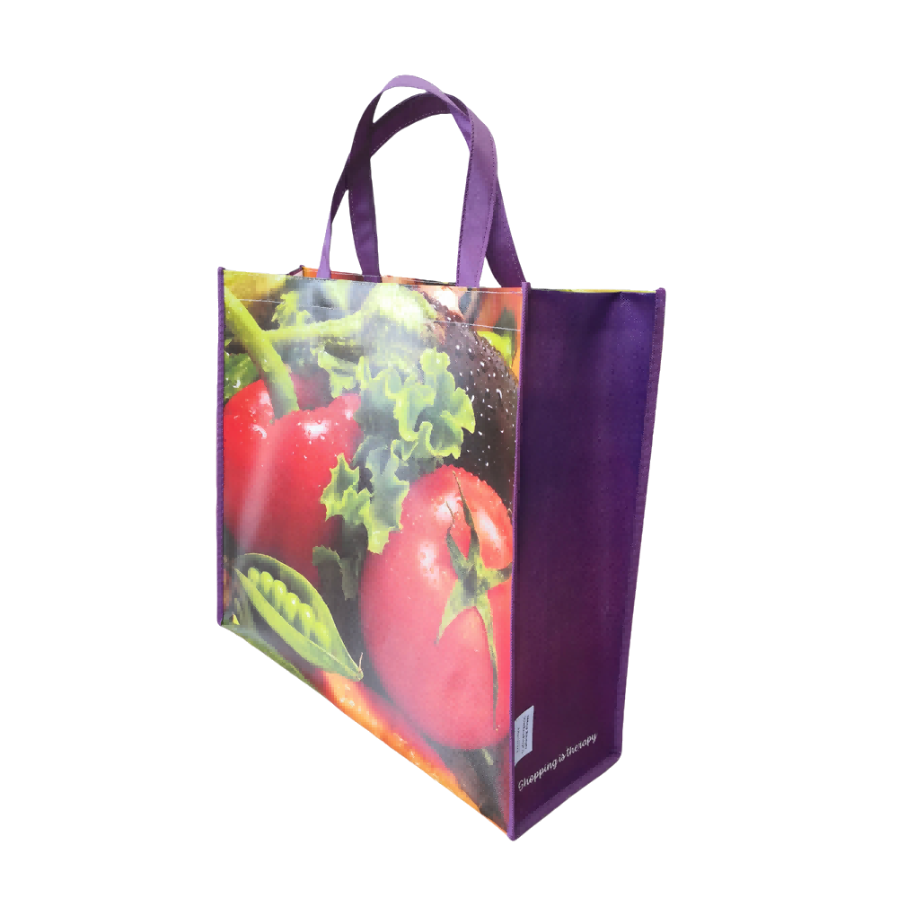 Hot Sale new design Reusable Waterproof Handle Laminated Pp Shopping Bag Polypropylene manufacturer pp non woven bag