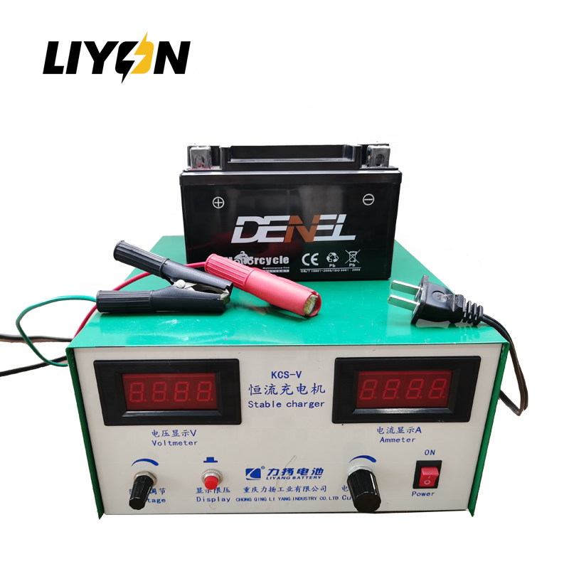 Professional automatic switch mode charger 6v 12v battery charger SLA and WET Battery charger