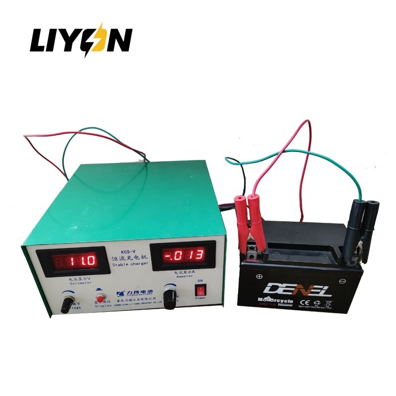 Professional automatic switch mode charger 6v 12v battery charger SLA and WET Battery charger