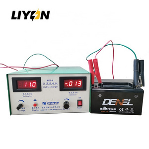 Professional automatic switch mode charger 6v 12v battery charger SLA and WET Battery charger