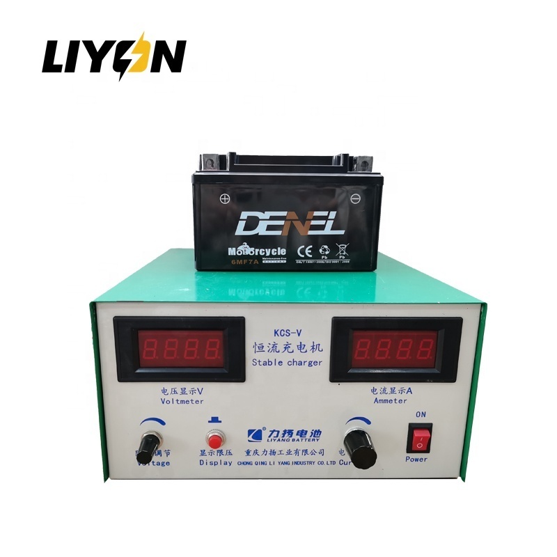 Professional automatic switch mode charger 6v 12v battery charger SLA and WET Battery charger