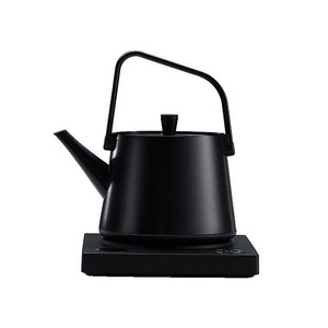 new arrival japanese teapot with infuser and cast iron handle