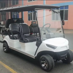 CE Approved 48 V Electric 6 Seater Golf Cart for Sightseeing Tourist Bus Optional Lithium Battery