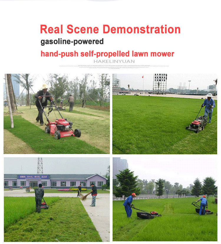 16 Inch Self Propelled Gasoline Lawn Mower With Aluminum Chassis Mower And BS Engine One Key Start