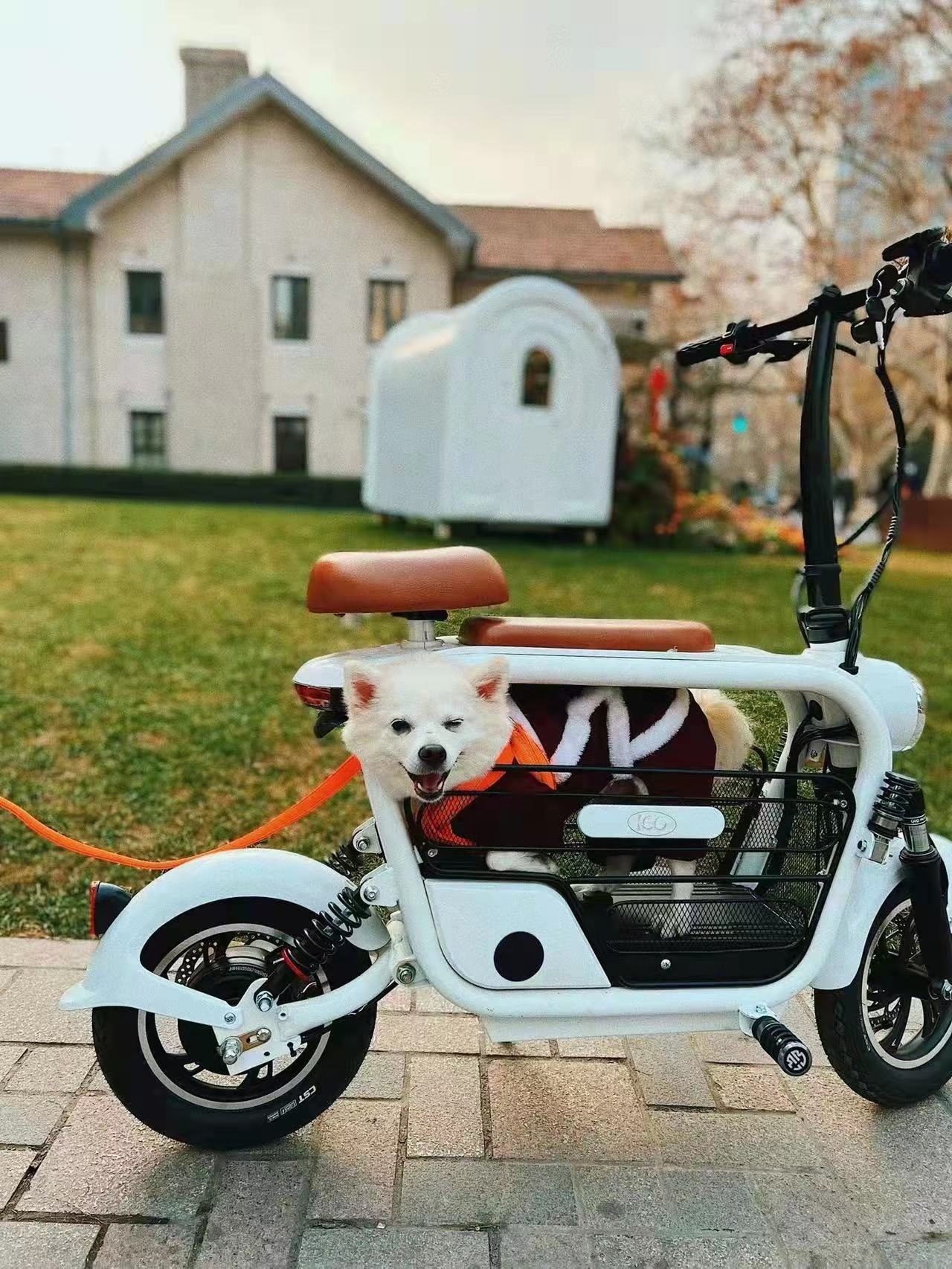 2023 Mobility Pet Storage Electric Scooter Folding E Bike pet scooter 500w kick scooter ebike for pet dog cat bikes