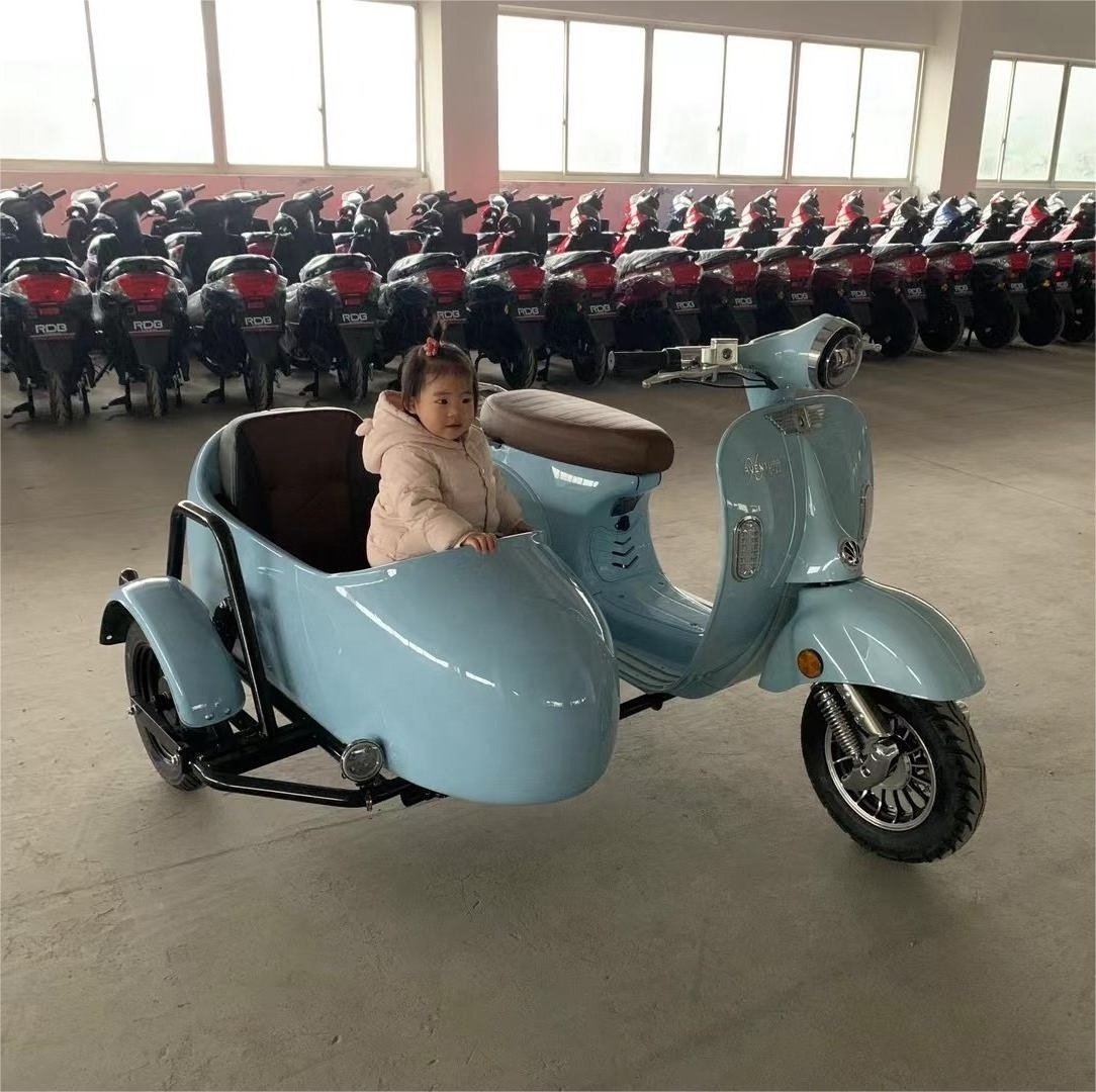 USA Warehouse Side Car Pedal Assist Bike Sidecar to Carry Pets Electric Fat Tire Tricycle Electric Bike 3 Wheel sidecar scooters