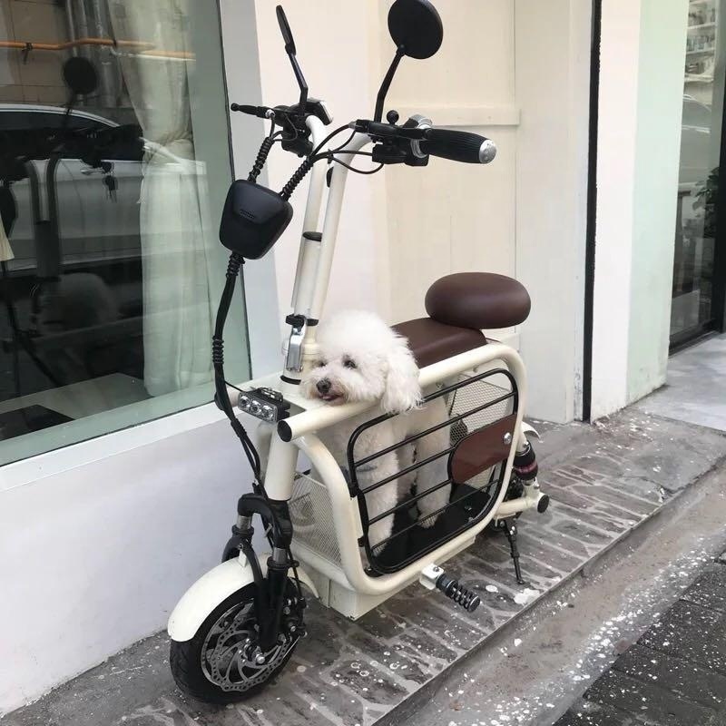 350w-2000w motor electric scooter for pet dog and cat pet bike pet scooter electric citycoco chopper motorcycle dog carrier