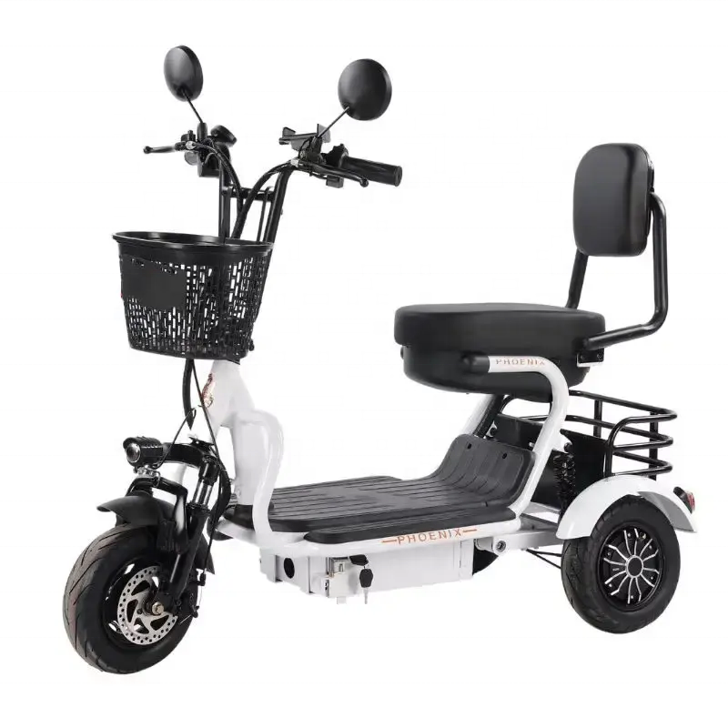 EU/US warehouse Wholesale Price 500W 48V 20Ah 10 Inch Cargo Electric Bike Sccoter 3 Wheel For Adults electric tricycle