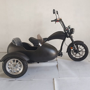 USA Warehouse Ebike Sidecar Cheap Electric Tricycle Bike with Long Range Distance Sidecar for Sale motorcycle for adults sidecar