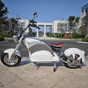 EU/US warehouse Electric Bike 60V 60AH 100AH Popular Fat Tire Motorized Chopper E Bike Chopper Electric Bike 3000w Citycoco