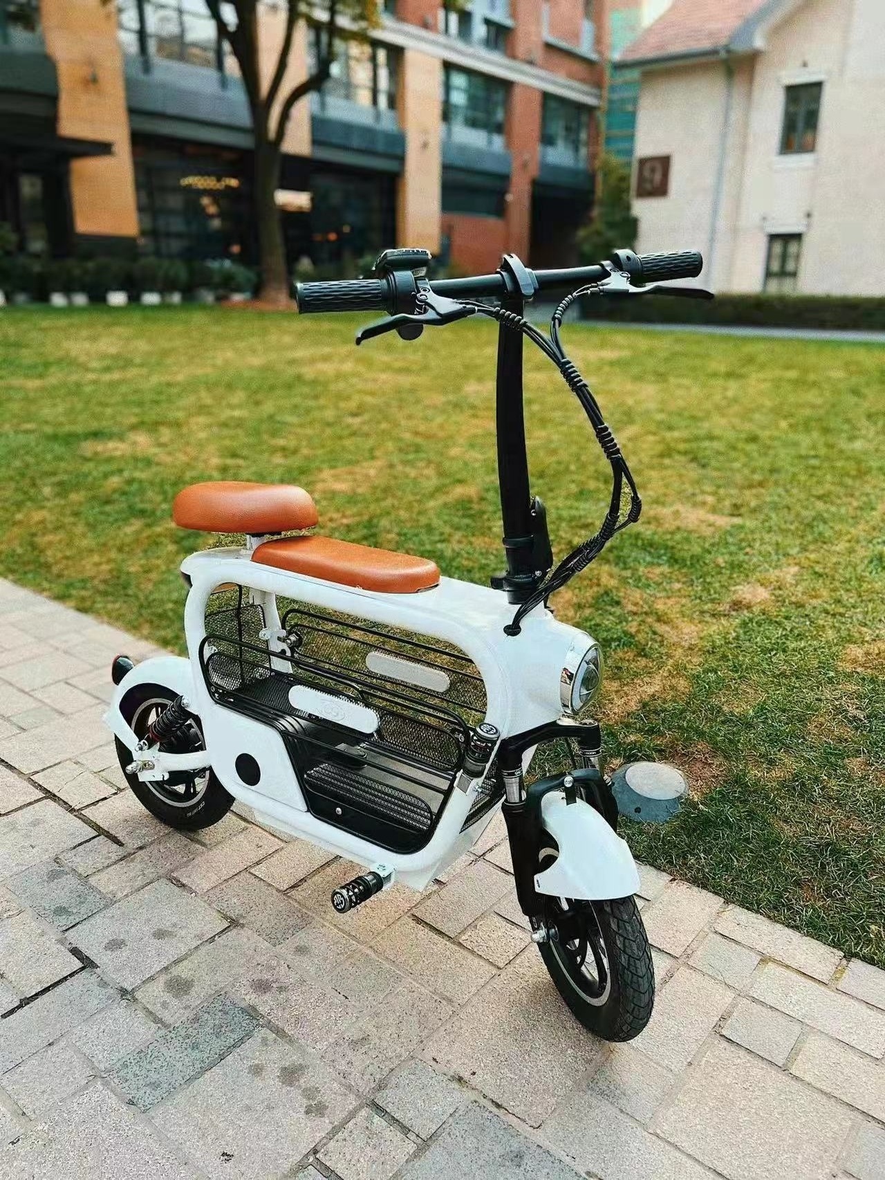 good price electric scooter bike with pet carrier scooter pet electric scooter citycoco pet for dog cat