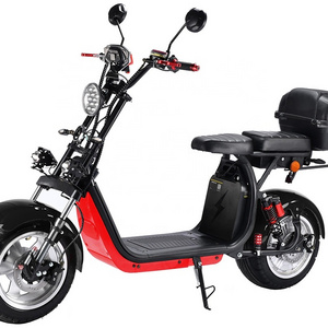 EU/USA Warehouse 3000W Powerful Fat Tire 2 Wheels Fast Electric Ebike Adult Electric Motorcycle Scooter 2000W Electric Citycoco