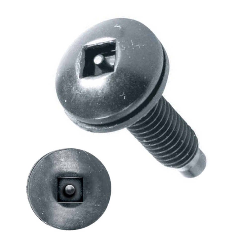 M2 M5 M6 S-Type Customized Stainless Steel Slotted One Way Tamper Proof Machine Thread Anti-Theft Screws