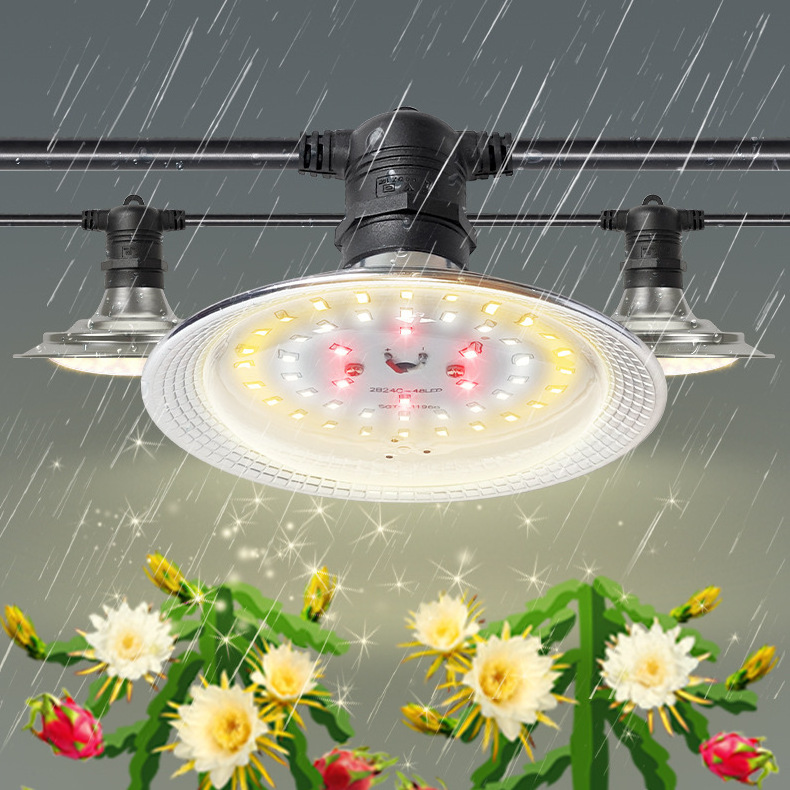 IMVSINCERE outdoor grow light IP44 string E27 E26 led grow light daisy chain grow bulb