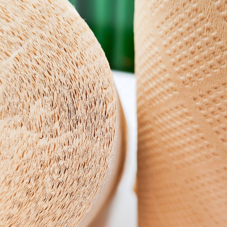 Soft organic eco friendly certified OEM custom cheap 4 3 2 ply bamboo toilet tissue paper rolls toilet paper