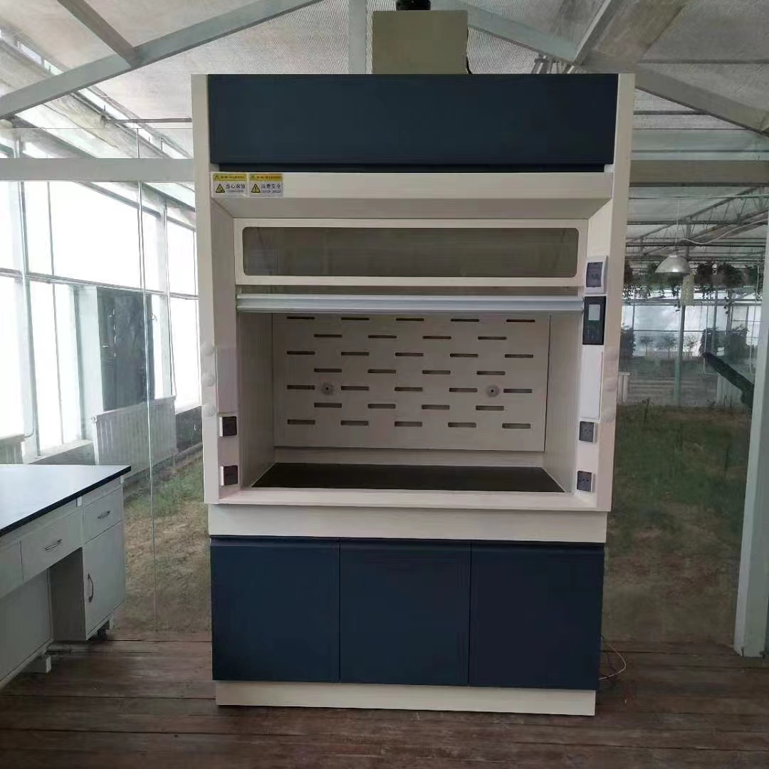 High quality Industrial and laboratory equipment lab hoodchemical fume cupboard fume hood cabinet