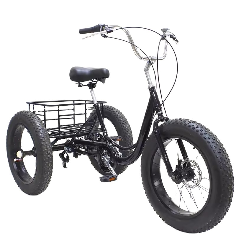 20 Inch 750w tricycle electric bike 3 wheel electric scooter tricycle electric bike electric tricycles bike tricycle electric