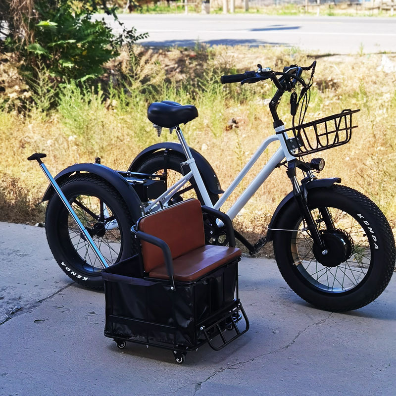 20 Inch 750w tricycle electric bike 3 wheel electric scooter tricycle electric bike electric tricycles bike tricycle electric