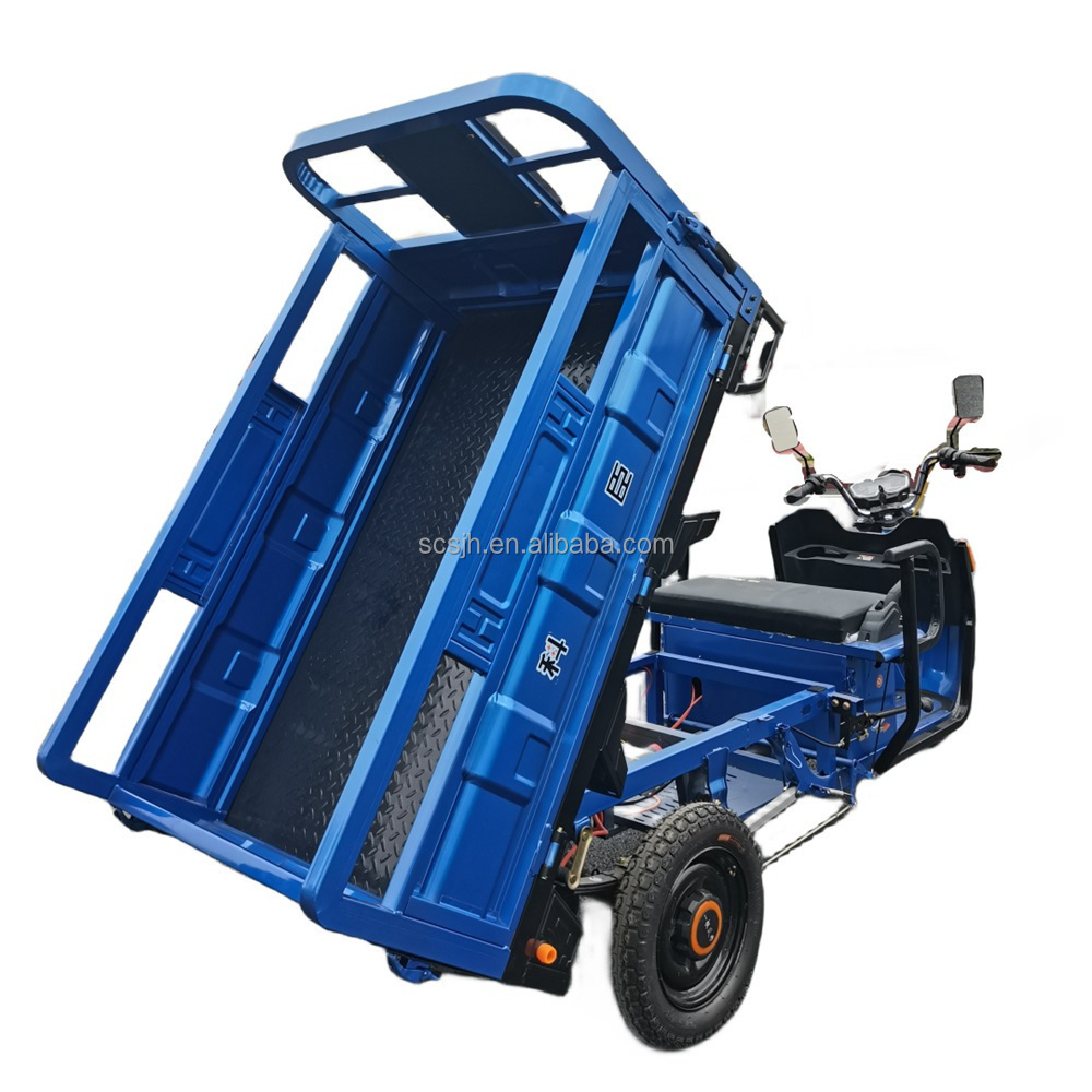 Hot Sale 1000W China Electric Cargo Tricycle Adult Trike with Open Body Type Three Wheels Cargo Adult Tricycle trike motorcycle