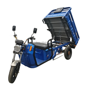 Hot Sale 1000W China Electric Cargo Tricycle Adult Trike with Open Body Type Three Wheels Cargo Adult Tricycle trike motorcycle