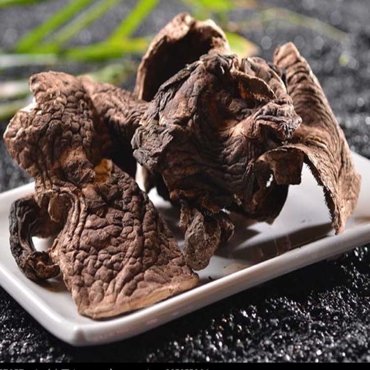 Wholesale Black Tiger Palm Mushroom