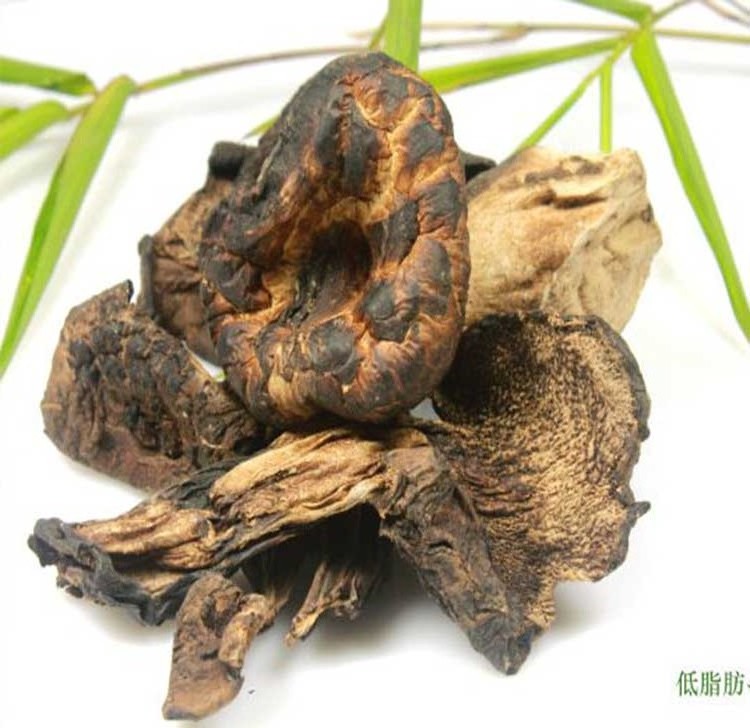 Wholesale Black Tiger Palm Mushroom