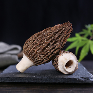 Morel edible lamb mushroom fresh lamb belly Sichuan wild morel mushroom/Morchella