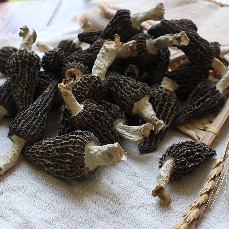 Morel edible lamb mushroom fresh lamb belly Sichuan wild morel mushroom/Morchella